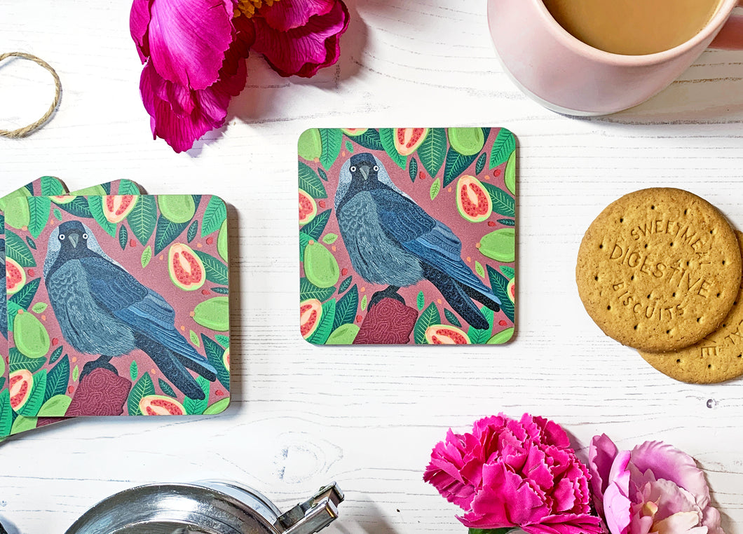 Jackdaw and Guavas Coaster