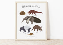 Load image into Gallery viewer, Long-nosed Creatures Print
