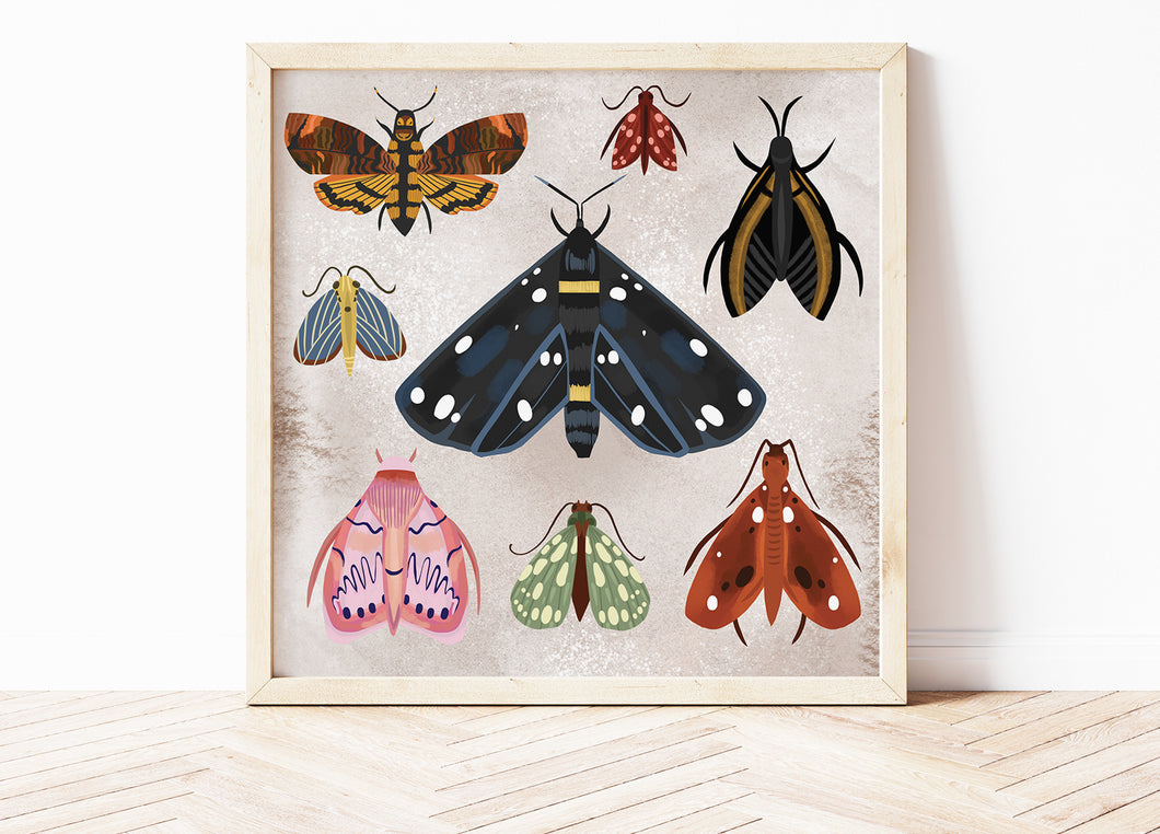 Moths Print