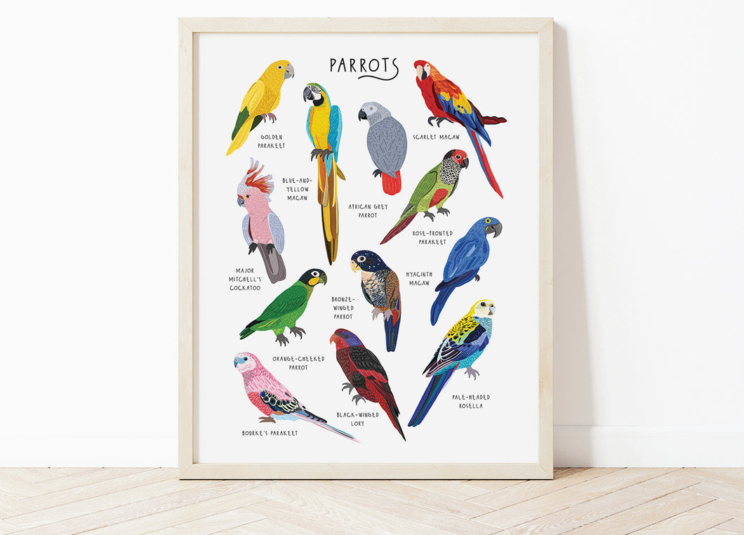 Parrots Print