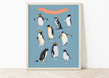 Load image into Gallery viewer, Penguins of the World Print

