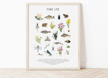 Load image into Gallery viewer, Pond Life Print
