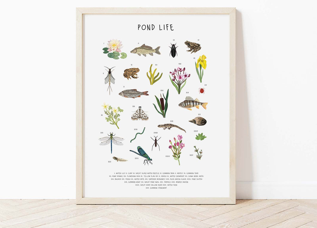 Pond Life Print