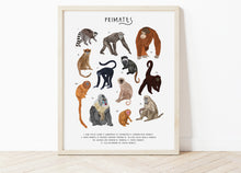 Load image into Gallery viewer, Primates Print
