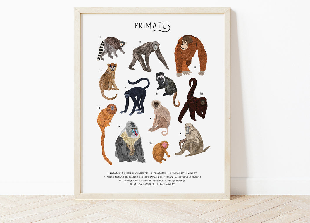 Primates Print