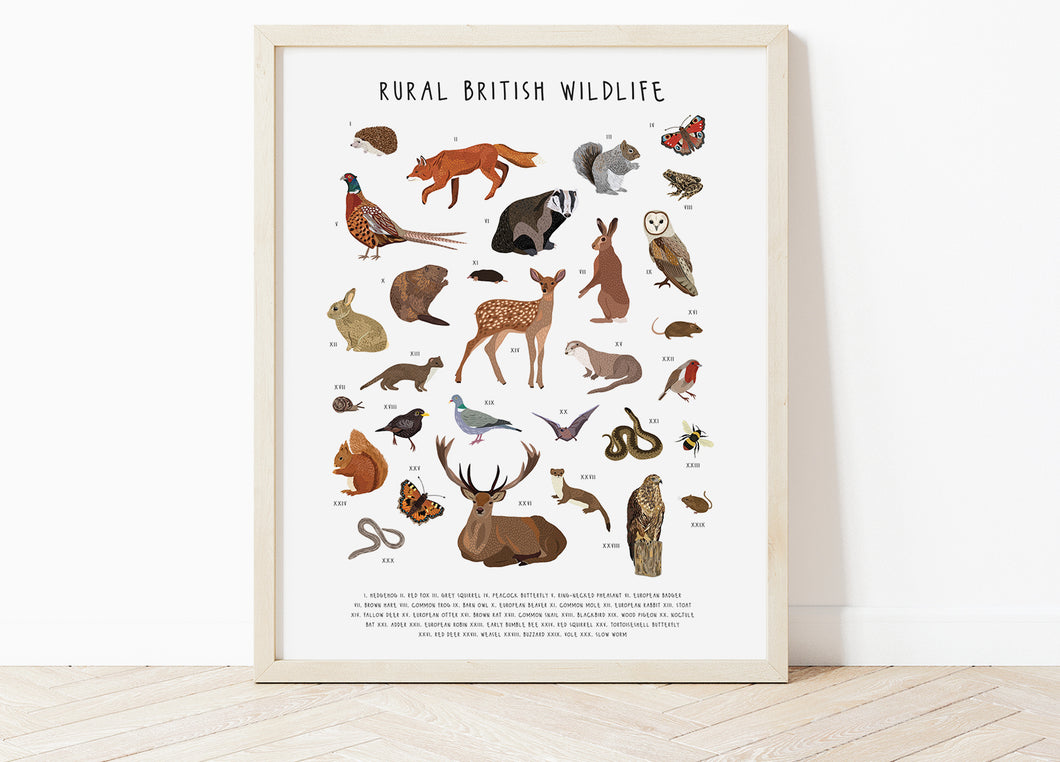Rural British Wildlife Print