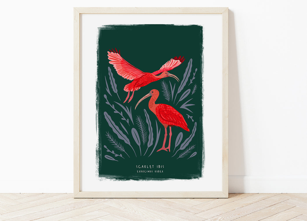 Scarlet Ibis Print