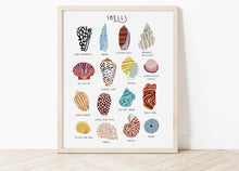 Load image into Gallery viewer, Sea Shells Print
