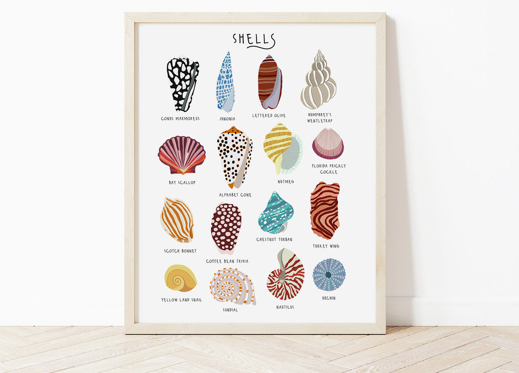 Sea Shells Print