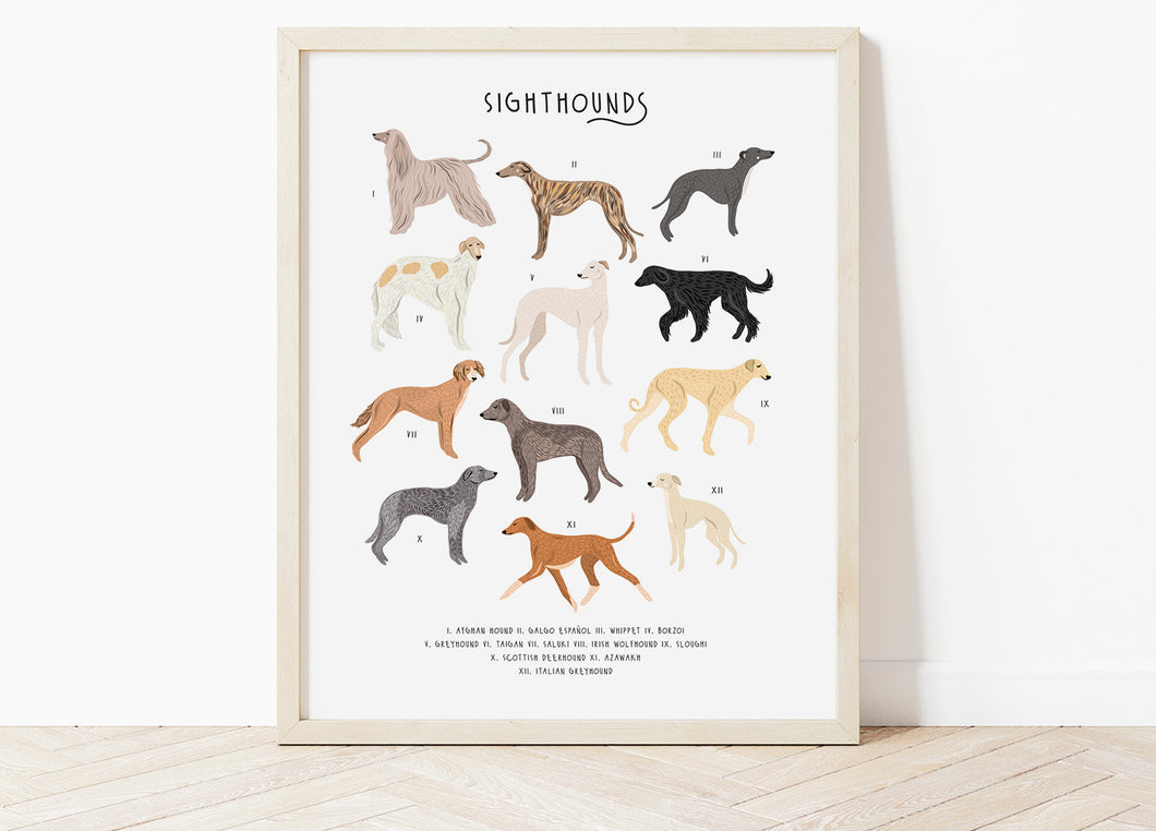 Sighthounds Print