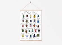 Load image into Gallery viewer, A-Z of Beetles Poster
