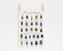 Load image into Gallery viewer, A-Z of Beetles Poster
