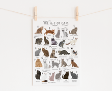 Load image into Gallery viewer, A-Z of Cats Poster
