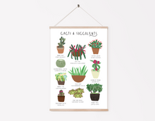 Load image into Gallery viewer, Cacti and Succulents Print
