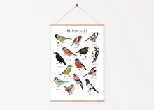 Load image into Gallery viewer, British Birds Print
