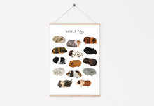 Load image into Gallery viewer, Guinea Pig Print
