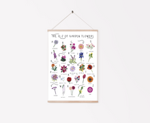 Load image into Gallery viewer, A-Z of Garden Flowers Poster
