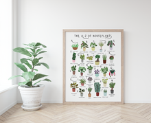 Load image into Gallery viewer, House Plants Print

