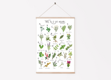 Load image into Gallery viewer, A-Z of Herbs Poster
