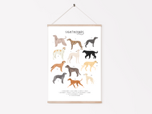 Load image into Gallery viewer, Sighthounds Print

