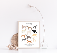 Load image into Gallery viewer, Sighthounds Print
