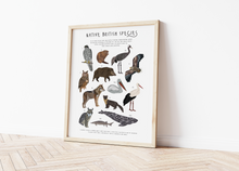 Load image into Gallery viewer, British Native Species Print
