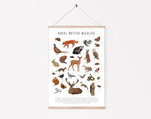 Load image into Gallery viewer, Rural British Wildlife Print
