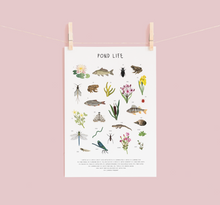 Load image into Gallery viewer, Pond Life Print
