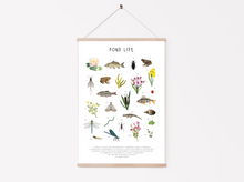 Load image into Gallery viewer, Pond Life Print
