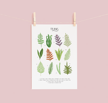 Load image into Gallery viewer, Ferns Print
