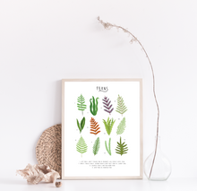 Load image into Gallery viewer, Ferns Print

