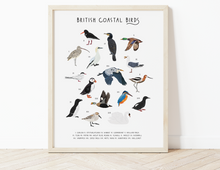 Load image into Gallery viewer, British Coastal Birds
