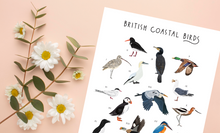 Load image into Gallery viewer, British Coastal Birds
