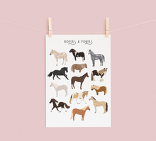 Load image into Gallery viewer, Horses &amp; Ponies Print
