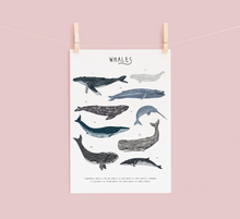 Load image into Gallery viewer, Whales Print
