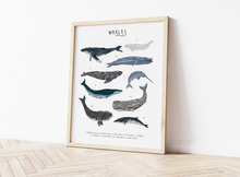 Load image into Gallery viewer, Whales Print
