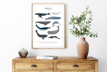 Load image into Gallery viewer, Whales Print
