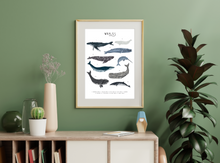 Load image into Gallery viewer, Whales Print
