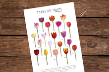 Load image into Gallery viewer, Types of Tulips Print
