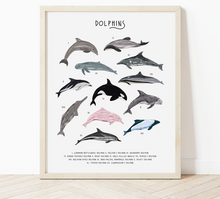 Load image into Gallery viewer, Dolphins Print

