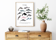 Load image into Gallery viewer, Dolphins Print
