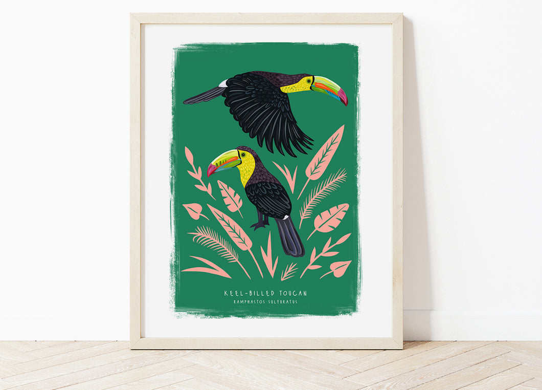Keel-Billed Toucan Print