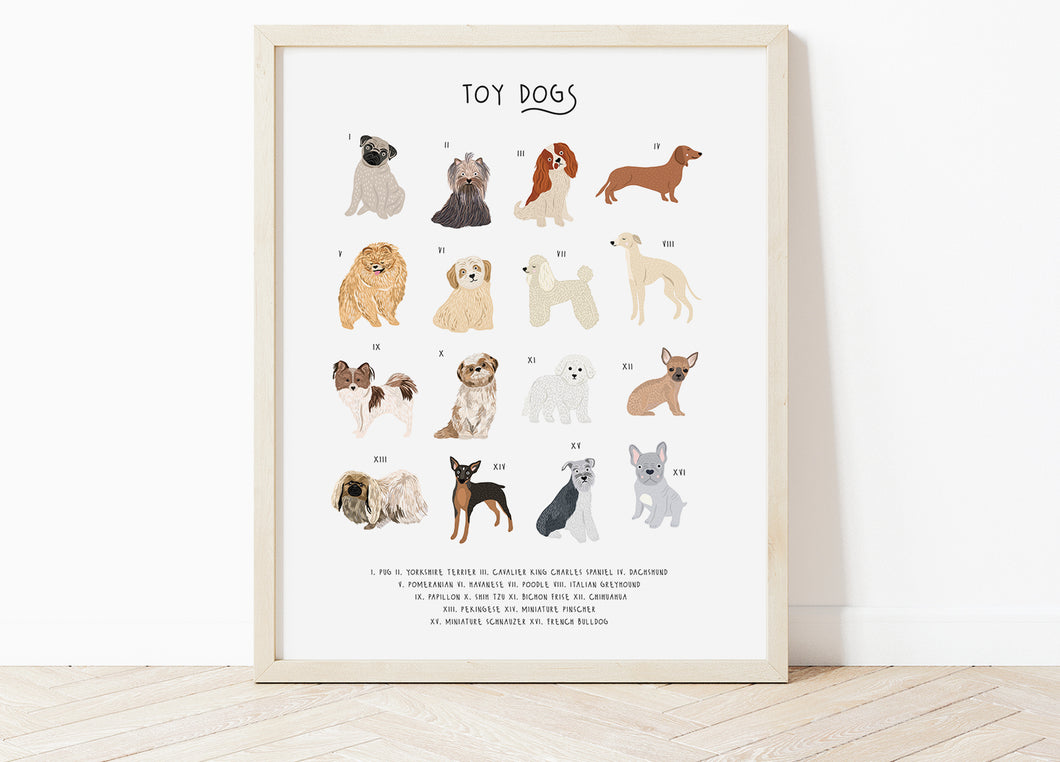 Toy Dog Breeds Print