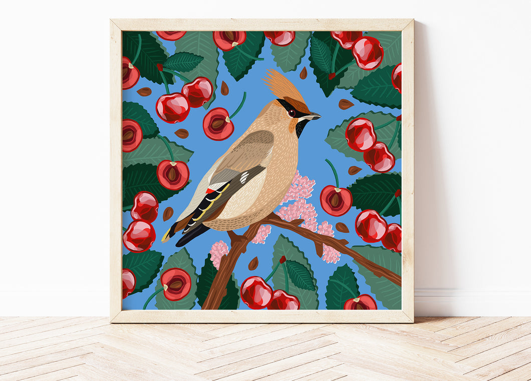 Waxwing and Cherries Print