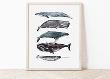 Load image into Gallery viewer, Whales Stack Print
