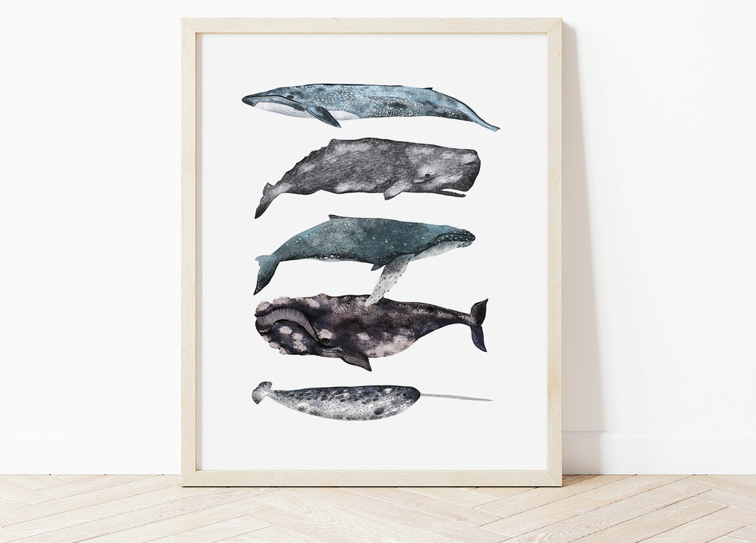 Whales Stack Print