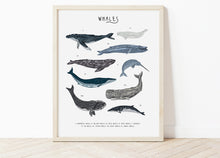 Load image into Gallery viewer, Whales Print
