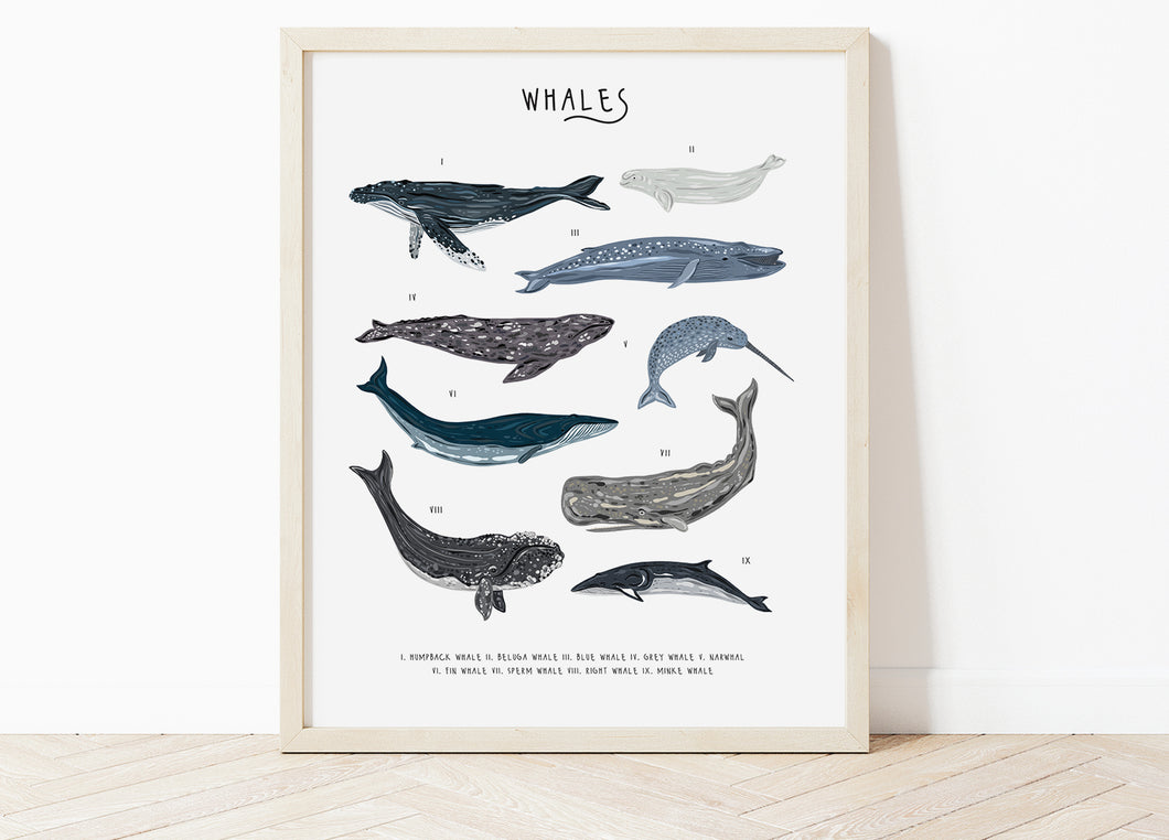 Whales Print