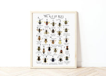 Load image into Gallery viewer, A-Z of Bees Poster
