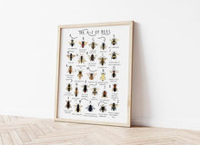 Load image into Gallery viewer, A-Z of Bees Poster
